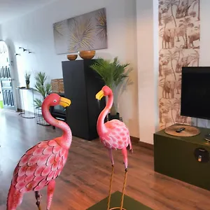 Marezia Apartment Corralejo